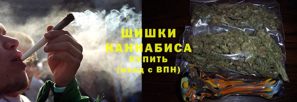 ПСИЛОЦИБИНОВЫЕ ГРИБЫ Алексин