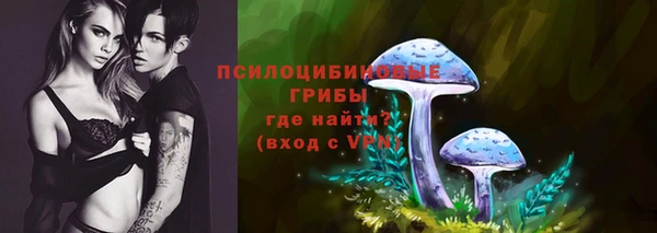 ПСИЛОЦИБИНОВЫЕ ГРИБЫ Алексин