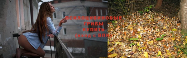 трава Алзамай