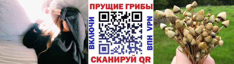Галлюциногенные грибы Magic Shrooms где купить наркотик Балабаново