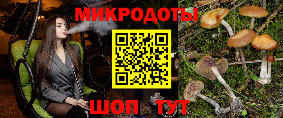 Псилоцибиновые грибы GOLDEN TEACHER Балабаново