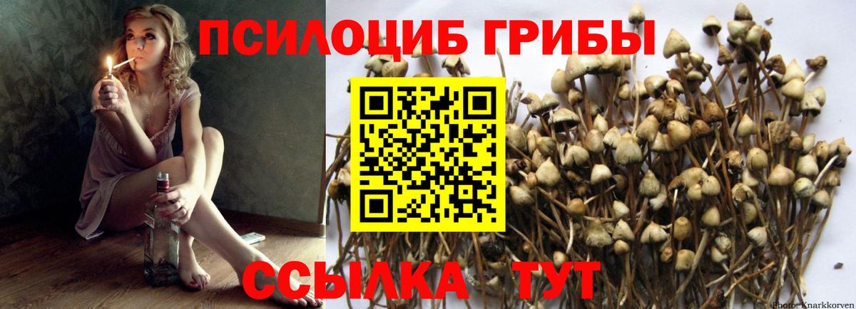 Галлюциногенные грибы ЛСД Балабаново