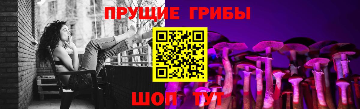 Балабаново  Псилоцибиновые грибы прущие грибы  Вход с VPN 